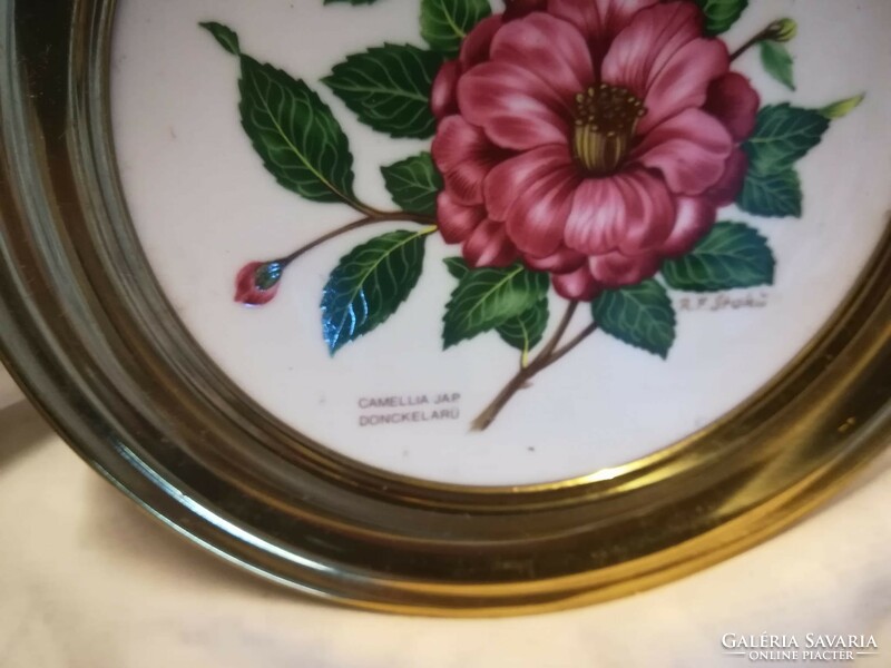 Porcelain decorative plate in a metal frame and its counterpart without a frame