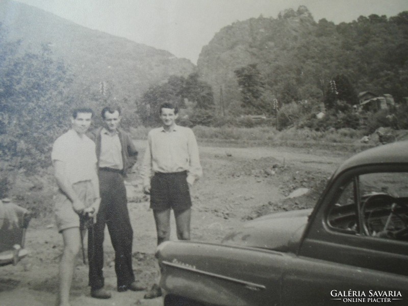 D198428 deer stone -mouse's anticipation fierce vm. Old large-scale photo from the 1950s-60s mounted on cardboard