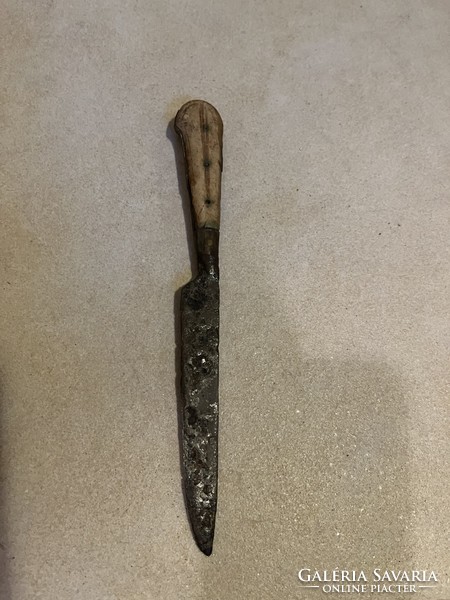 Knife with a bone handle