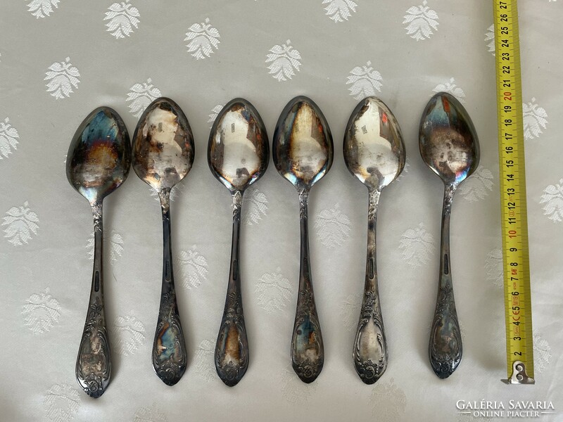 Russian silvered Evoskoz set