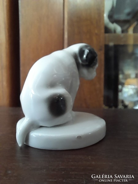 Alt German, Germany Pug, Mompszli porcelain dog figure. 5 Cm.