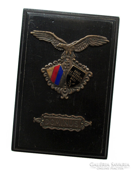 University and College Turul Association i. World War Heroes commemorative badge