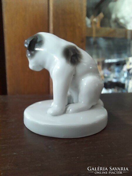 Alt German, Germany Pug, Mompszli porcelain dog figure. 5 Cm.