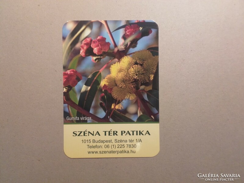 Hungary, card calendar - Budapest, séna tér pharmacy 2020