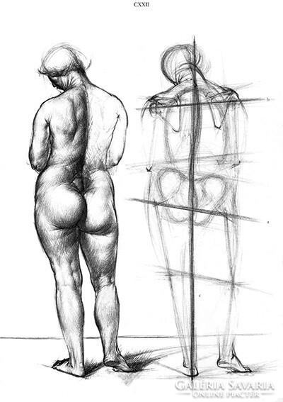 BARCSAY JENŐ: Művészeti anatómia gyönyörű állapotban a képek szerint CORVINA