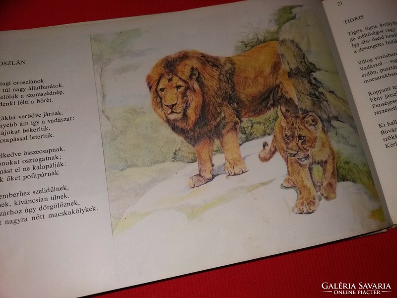 Régi verses képeskönyv Tandori -Szecskó : Afrika-India : vadállatok őshona képek szerint MÓRA