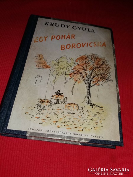 1948. Gyula Krúdy: a glass of borovicska book Budapest Székesfőváros Literary Institute