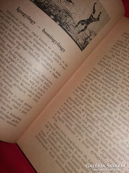 1943.Füleky József:101 MIBŐL ÉS HOGYAN KÉSZÜL A TECHNIKA 101 VÍVMÁNYA Barkóczy Kiadás