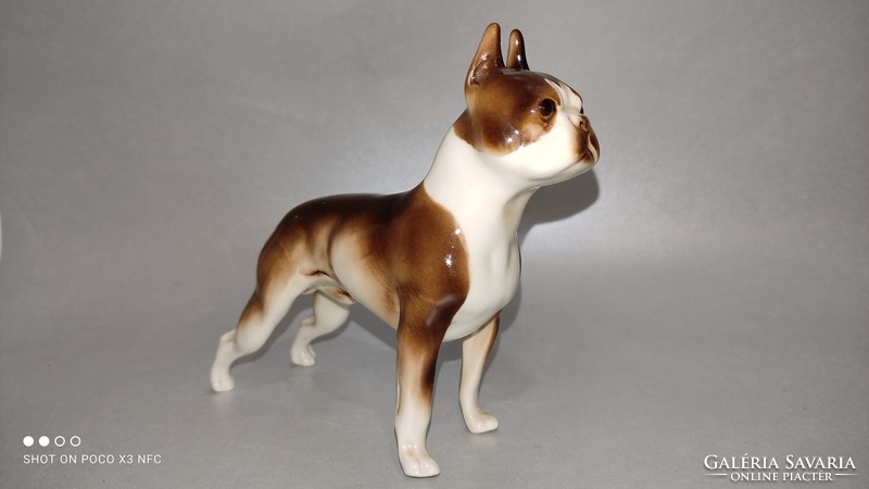 Rare collectible royal dux porcelain boston terrier dog figure statue