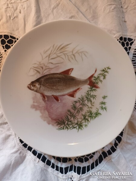 Nice and cheap! Old porcelain Bavarian fish / carp / wall-hanging decorative plate for sale!