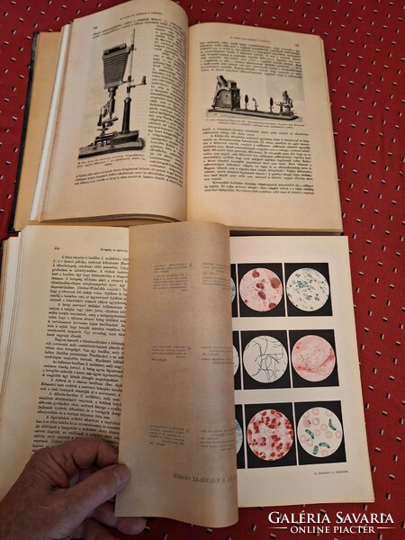 1914 Athenaeum- alexander bernát szerkaz individual and racial characteristics of the physical and mental life of man i-ii