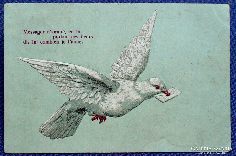 Antik dombornyomott üdvözlő képeslap  galamb levéllel