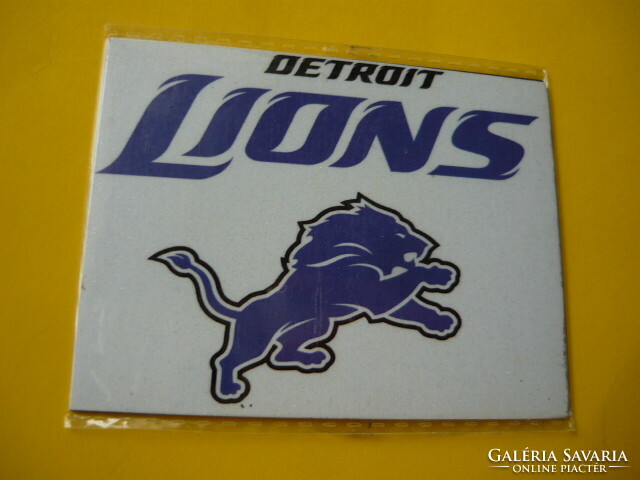 Detroit lions / nfl fridge magnet