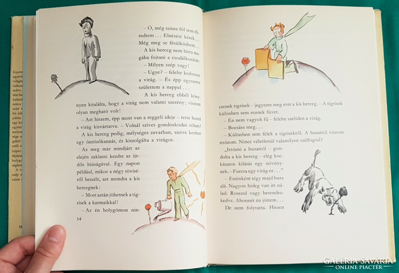 'Antoine de saint-exupéry: the little prince > children's and youth literature > fairy tale novel