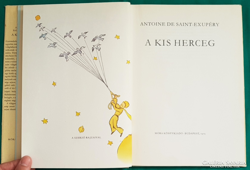 'Antoine de saint-exupéry: the little prince > children's and youth literature > fairy tale novel