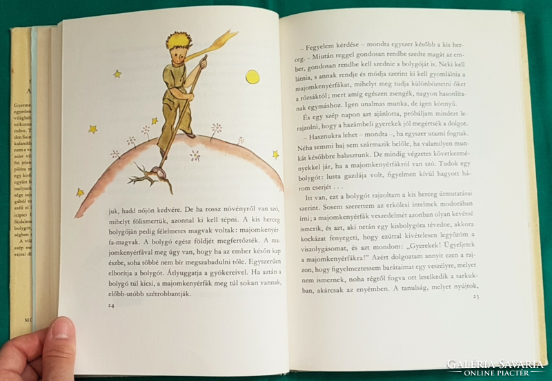 'Antoine de saint-exupéry: the little prince > children's and youth literature > fairy tale novel