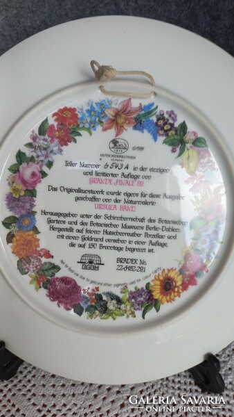 Vintage beautiful ursula band porcelain wall plate with flowers, flawless, dia.: 26 cm, gilded edge