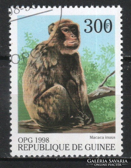 Animals 0423 guinea mi 1954 €1.20