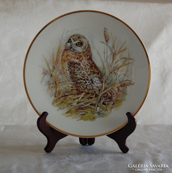 Beautiful stoke-on-trent owl plate short-eared owl'