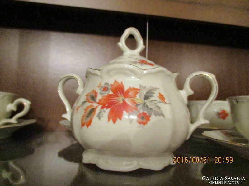 Antik ritkaság - porcelán teás készlet