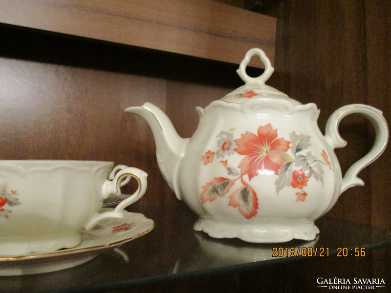 Antique rarity - porcelain tea set