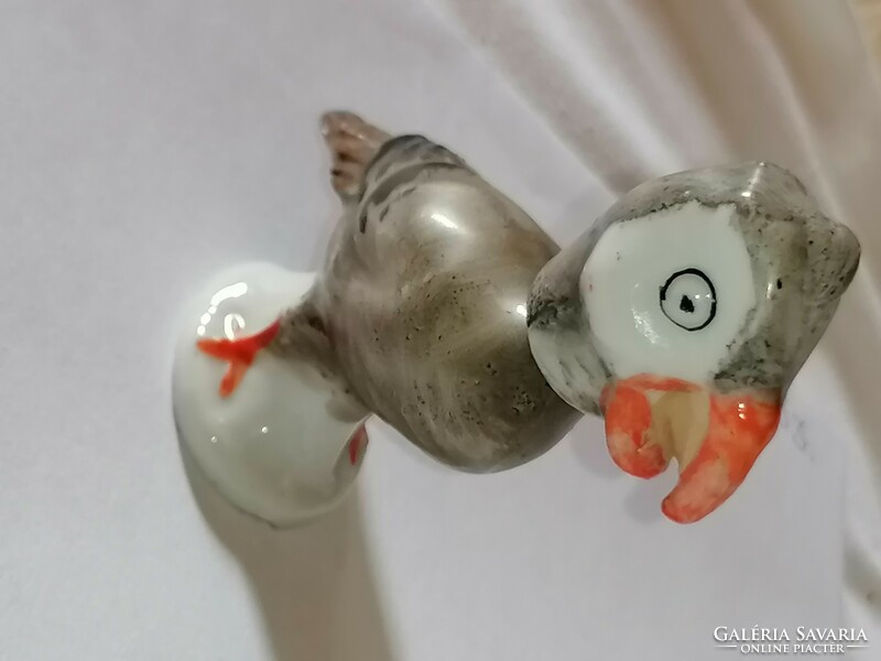 Extremely rare wagner&apel moving head cockatoo. For collectors!