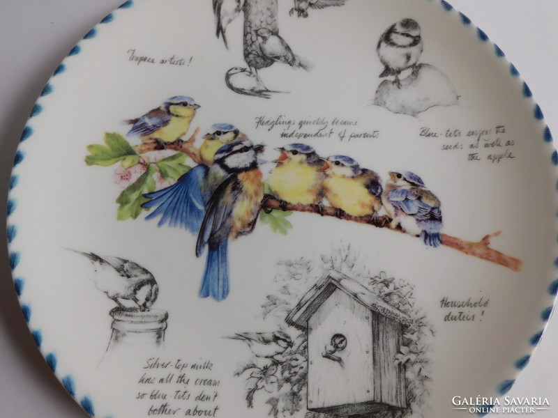 Wedgwood madaras (kék cinege) tányér