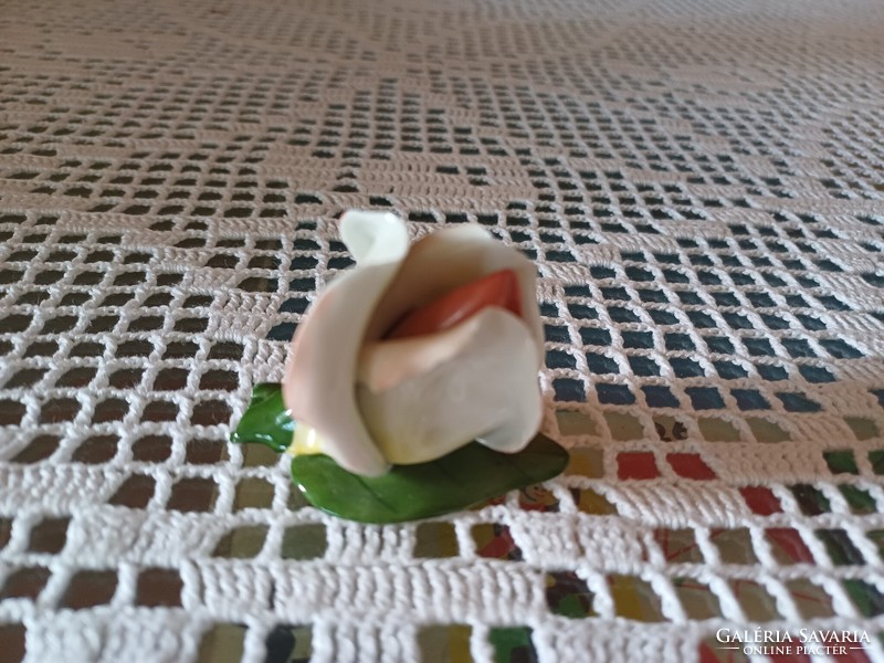 Aquincumi kézzel festett rózsa