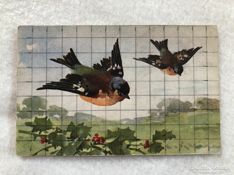 Antique, old chatarina klein - bird postcard - postal clean -7.