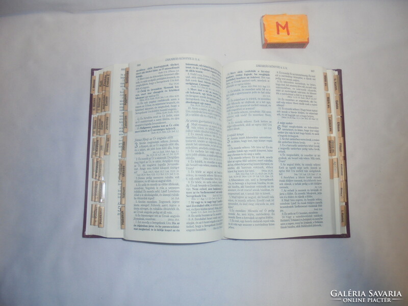 Holy Bible - 2001