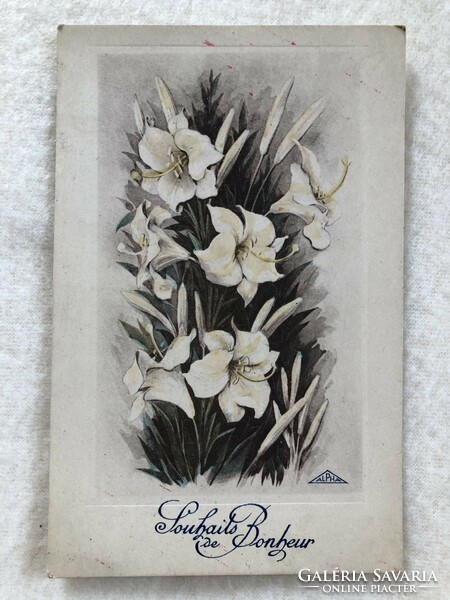 Antique, old colored postcard - post clean -7.