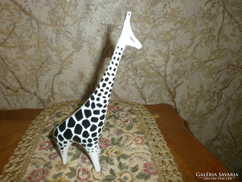 Holloházi is a large giraffe