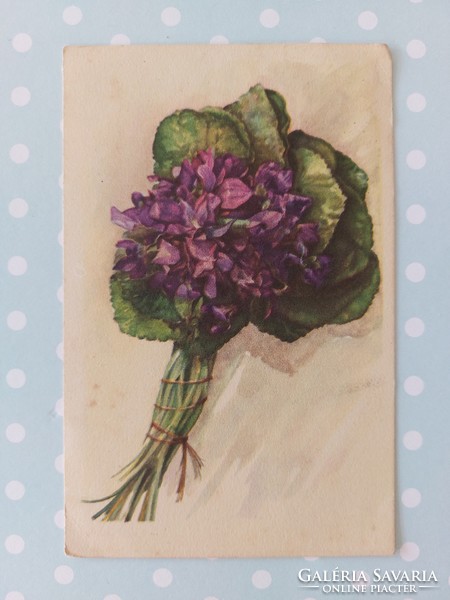 Régi képeslap 1955 virágos levelezőlap ibolya