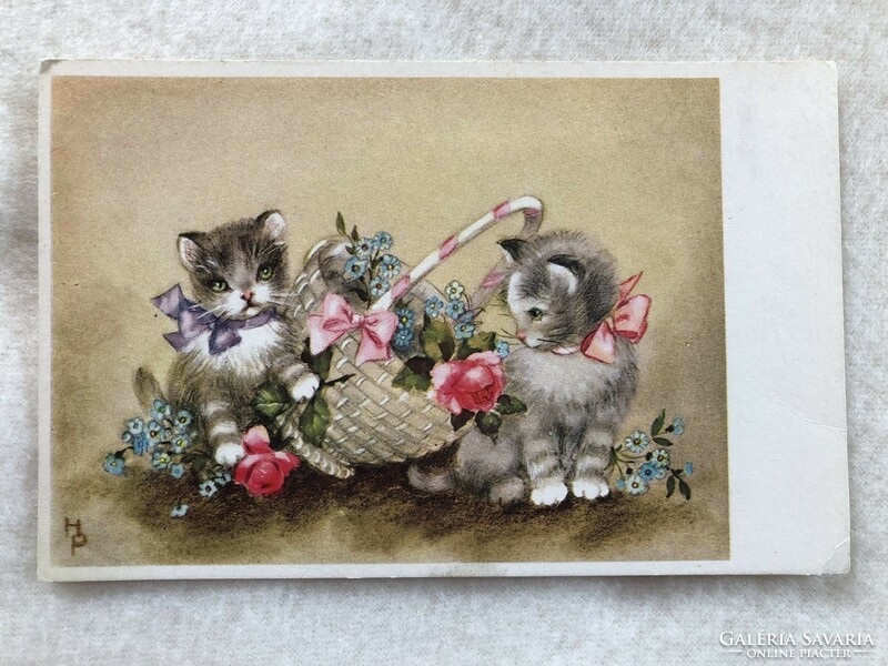 Antique, old graphic cat postcard - post clean -7.