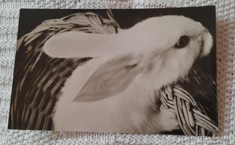 Retro Easter card