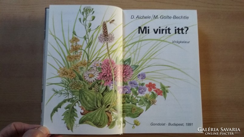 D. Aichele / m. Golte - bechtle: what's blooming here? Flower guide. Thought, 1991.