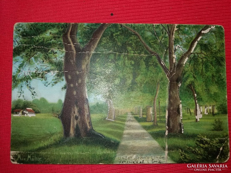 Antique 1902 censored hand painted postcard with green linden trees from Sweden according to the pictures