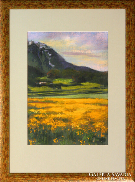Zsuzsanna Harsányi: Buttercup field - with frame 70x55 cm - artwork 50x35 cm - 05/1091