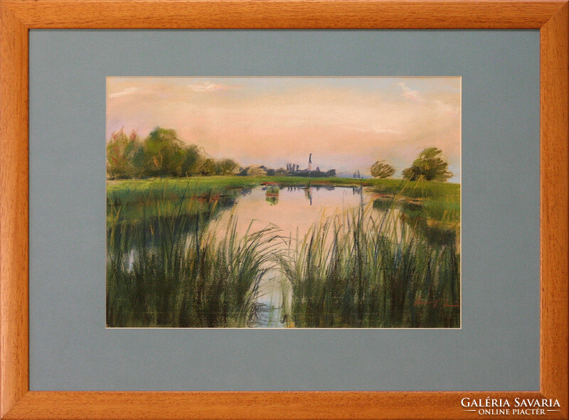 Zsuzsanna Harsányi: Backwater - with frame 55x70 cm - artwork 35x50 cm - 05/1095