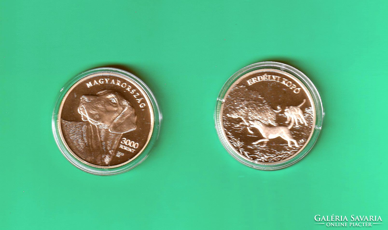 2023 - Transylvanian hound - 3000 ft non-ferrous metal commemorative coin - proof like - in capsule + description