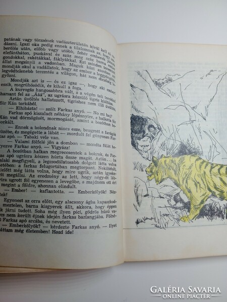 Rudyard Kipling - The Jungle Book