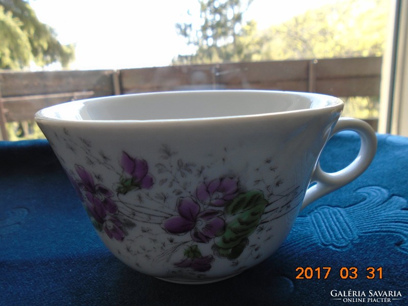 Antique Viennese Bidermeyer, imposing, violet, relief pattern, thick village hand-numbered tea cup