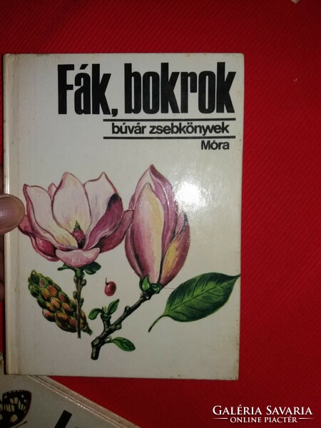 19878.Dr. Zsolt Debreczy: trees, bushes (diver's pocket books) - Ferenc móra book publisher according to pictures