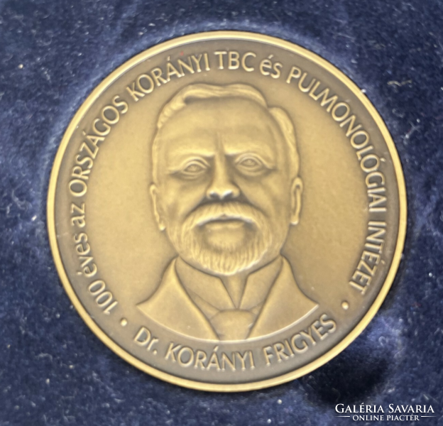 Dr. Frigyes Korányi memorial bronze plaque