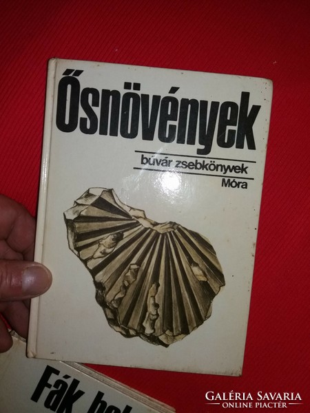 1983. Hably-bíró: ancient plants (diver pocket books) - Ferenc móra book publisher according to pictures