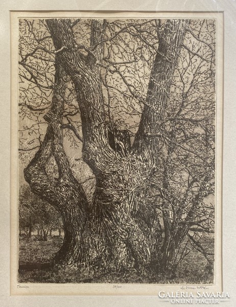 István Imre Jr.: witness tree - etching