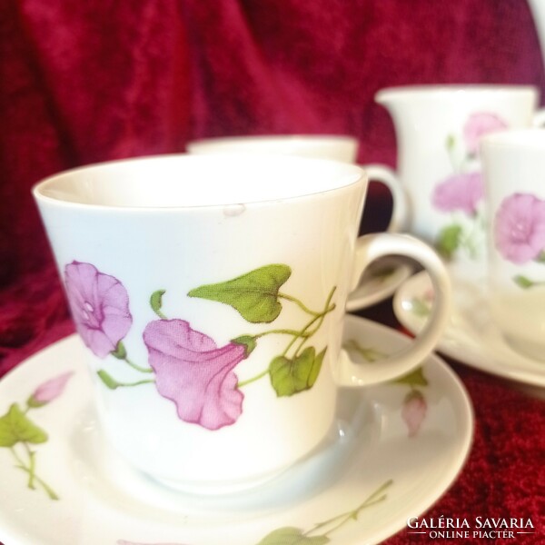 Coffee set with a retro lowland morning glory pattern