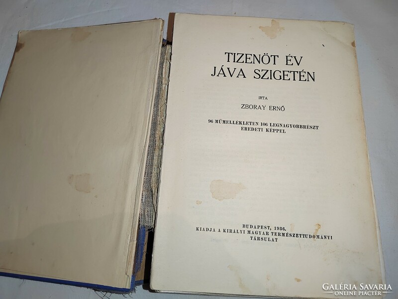Ernő Zboray: fifteen years on the island of Java