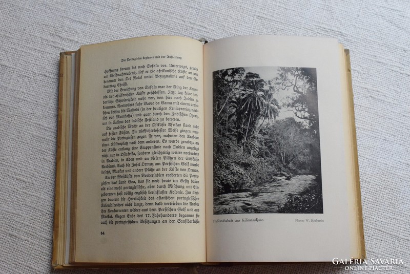 Afrika Schwarz oder Weiß , dr. Arthur Berger , Berlin , Német Könyvszövetség 1932 antik könyv