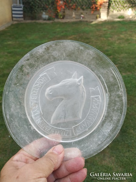 Glass bowl, decorative bowl with horse head pattern, centerpiece for sale!